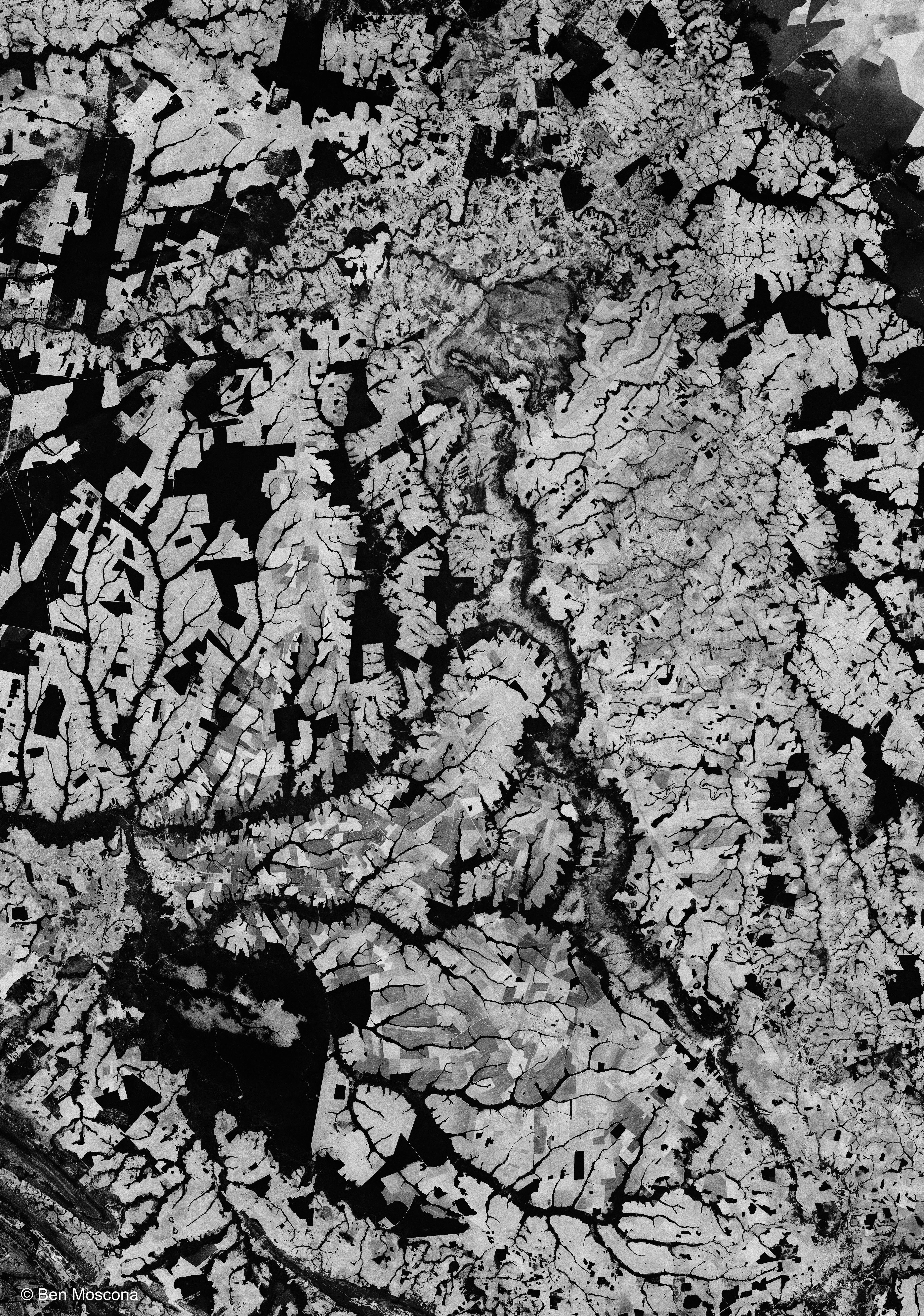 ben moscona satellite art brazil deforestation 