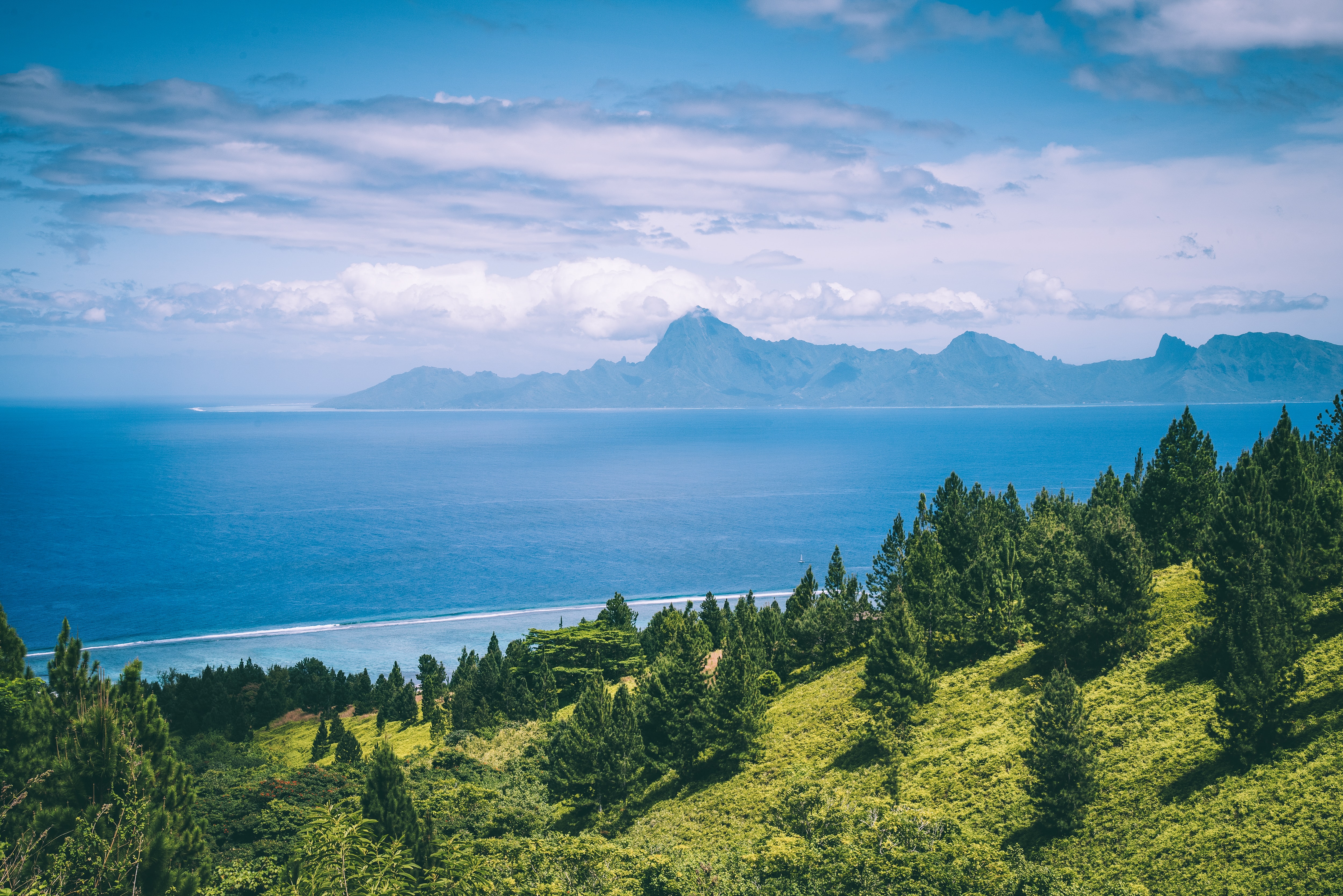 trees along coastline with island in the background in French Polynesia
