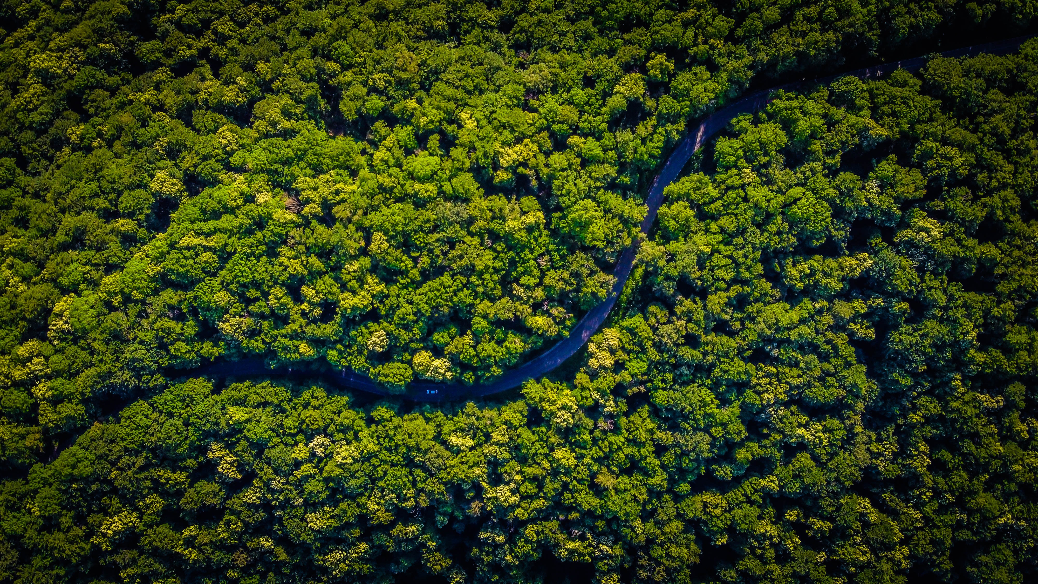 aerial of amazon forest and river