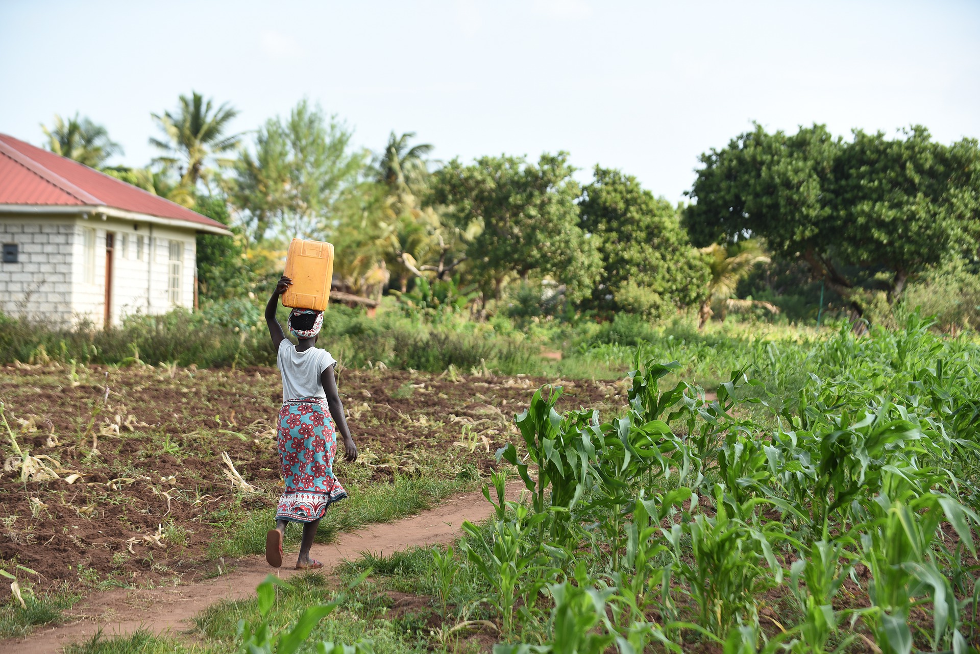 girl carrying bucket of water through farm