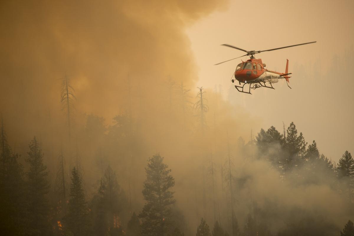 ferguson fire