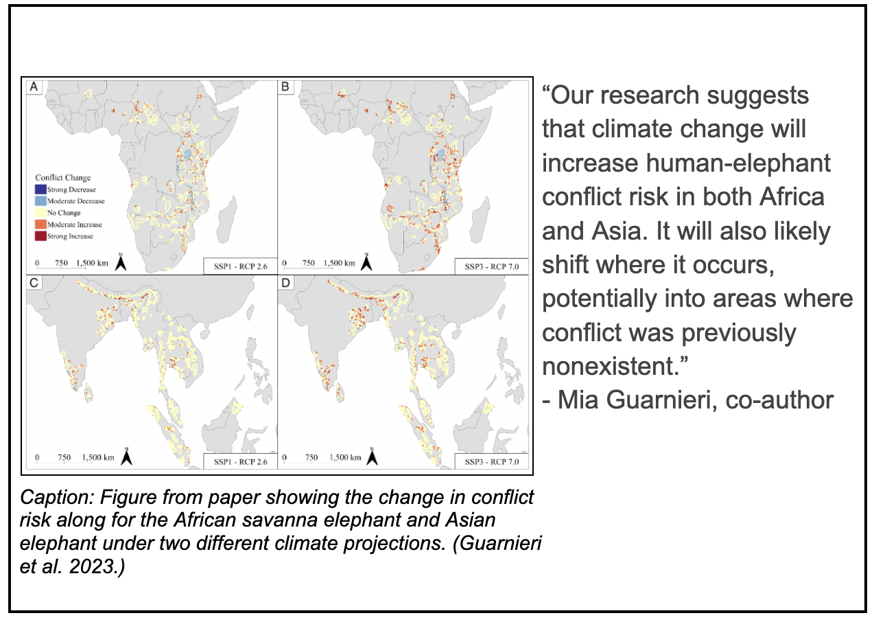 change in conflict risk along for the African savanna elephant and Asian elephant under two different climate projections