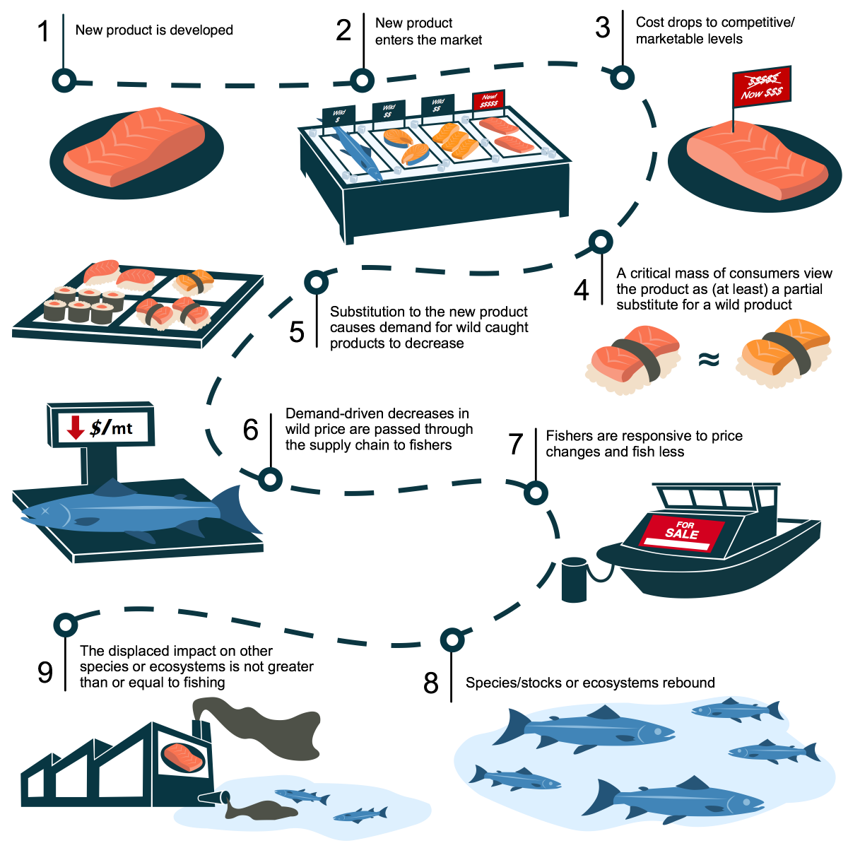 infographic of chain event of cell-based seafood 