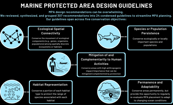 mpa design guidelines infographic 