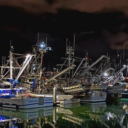 squid fishing boats at night
