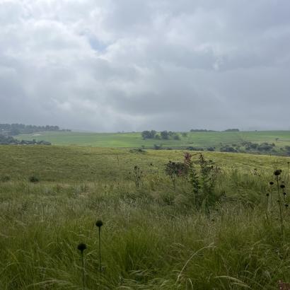south africa grassland