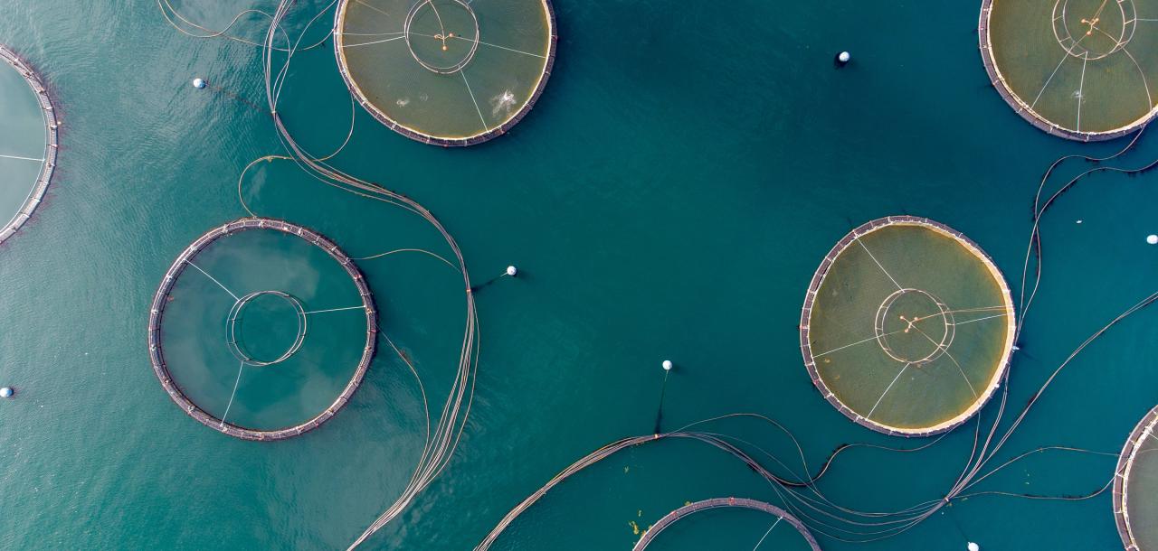 aerial of mariculture pens