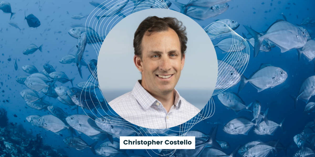 headshot of chris costello with a fish background