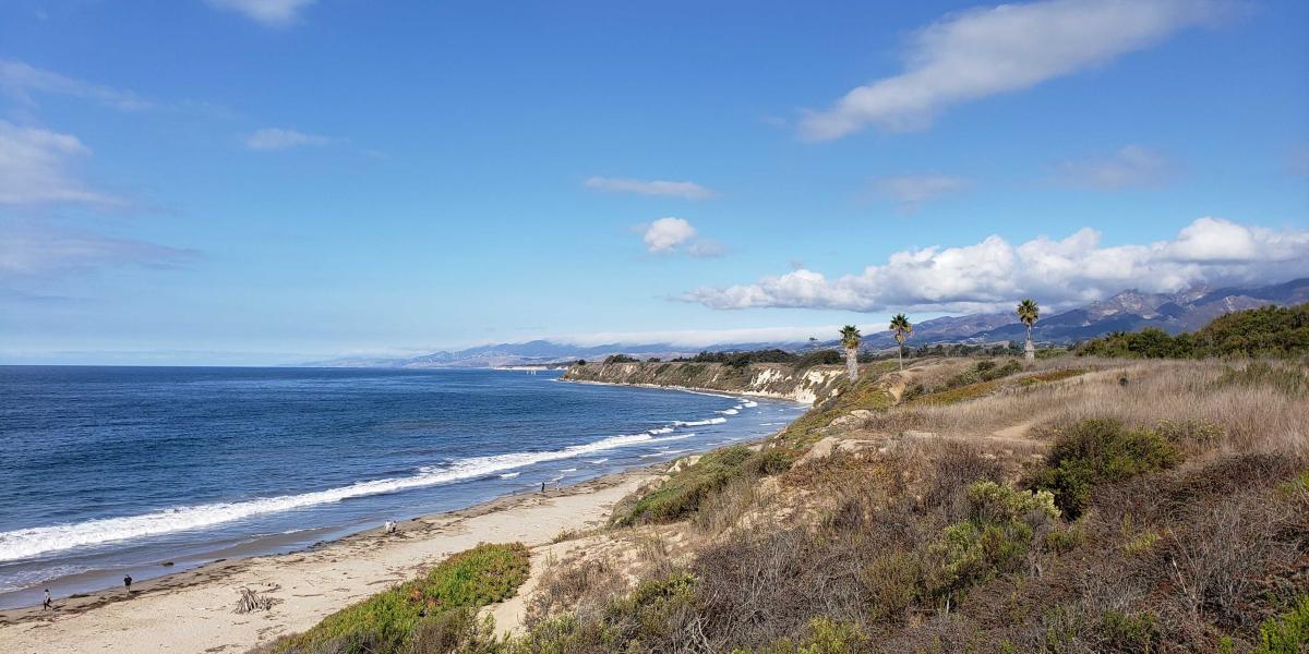 photo of the beach and shoreline