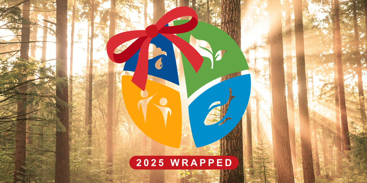 emLab logo with a bow and text that says "2025 wrapped" overlayed over a photo of trees.