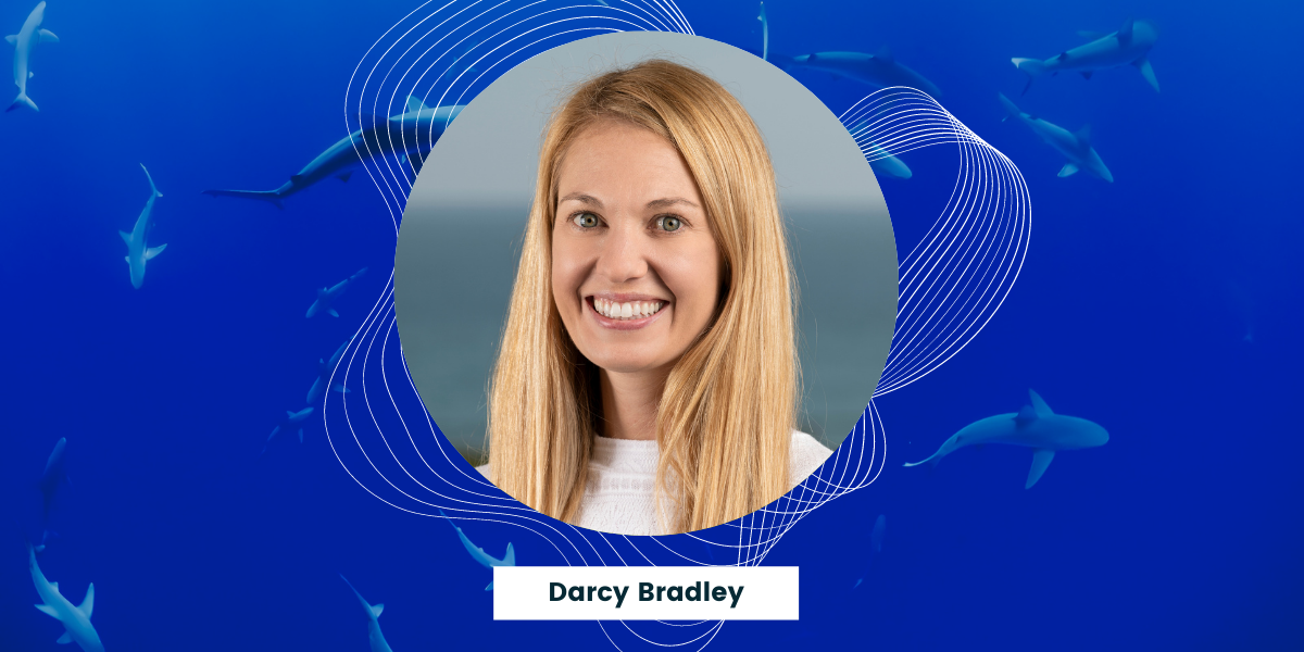 darcy bradley headshot with sharks behind