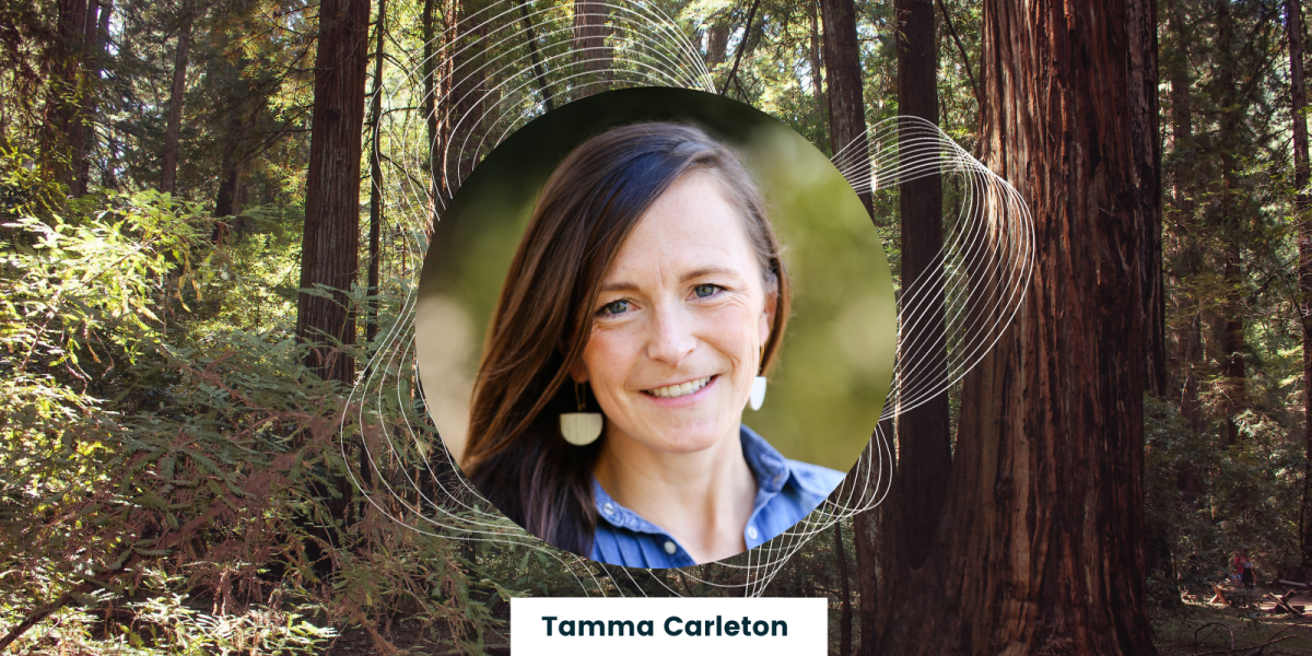 tamma carleton headshot over a forest image