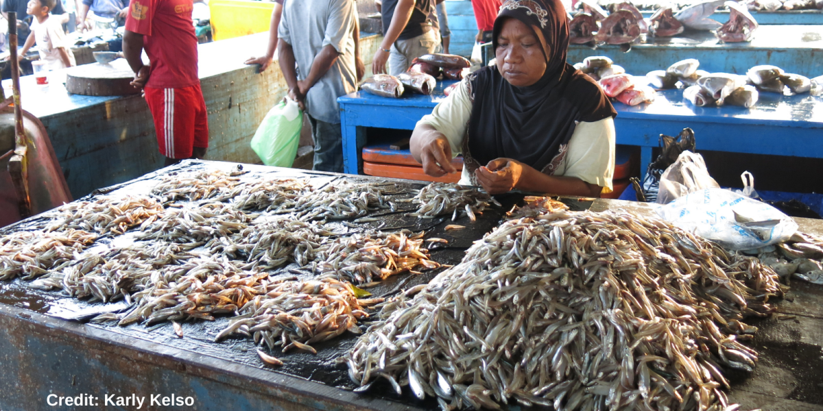 fish market seller with mounds of fish in front of her