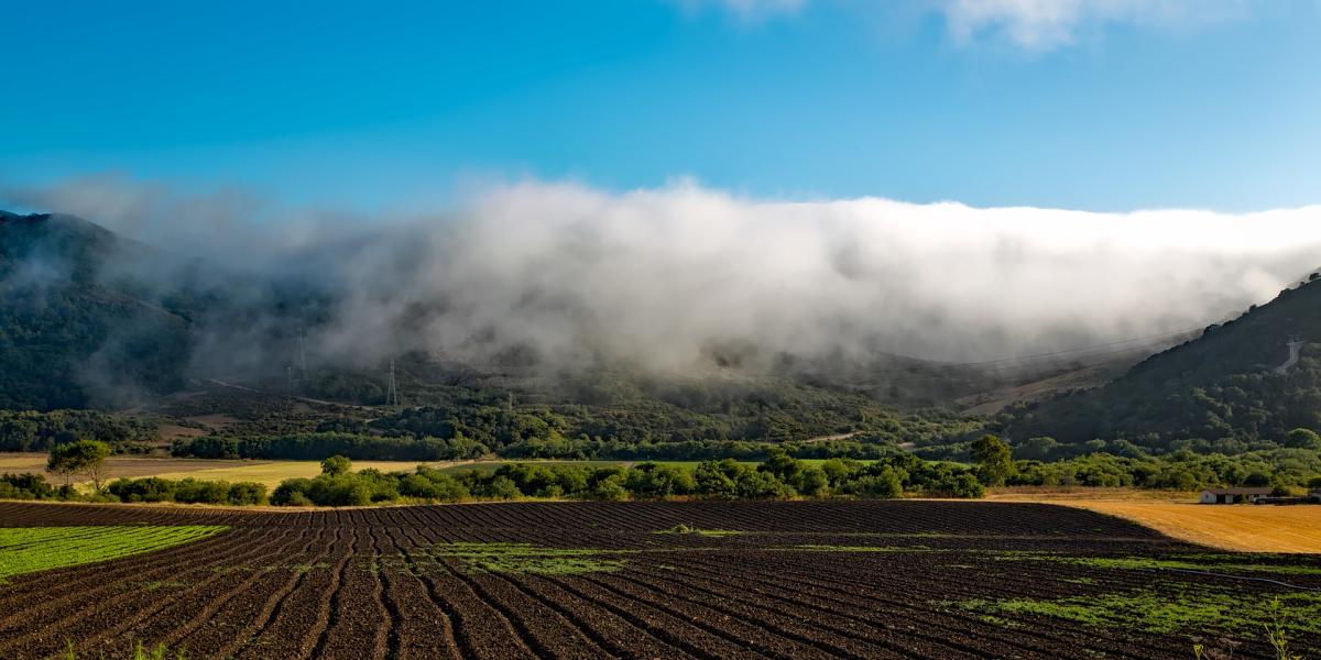 Photo of fields