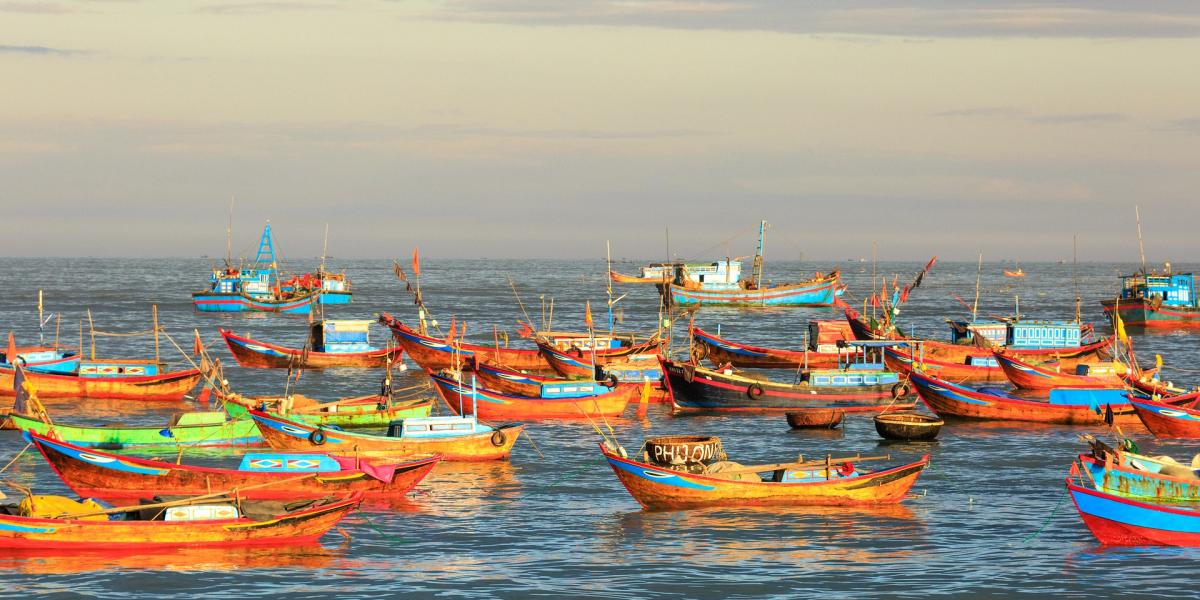 Many fishing boats in the ocean