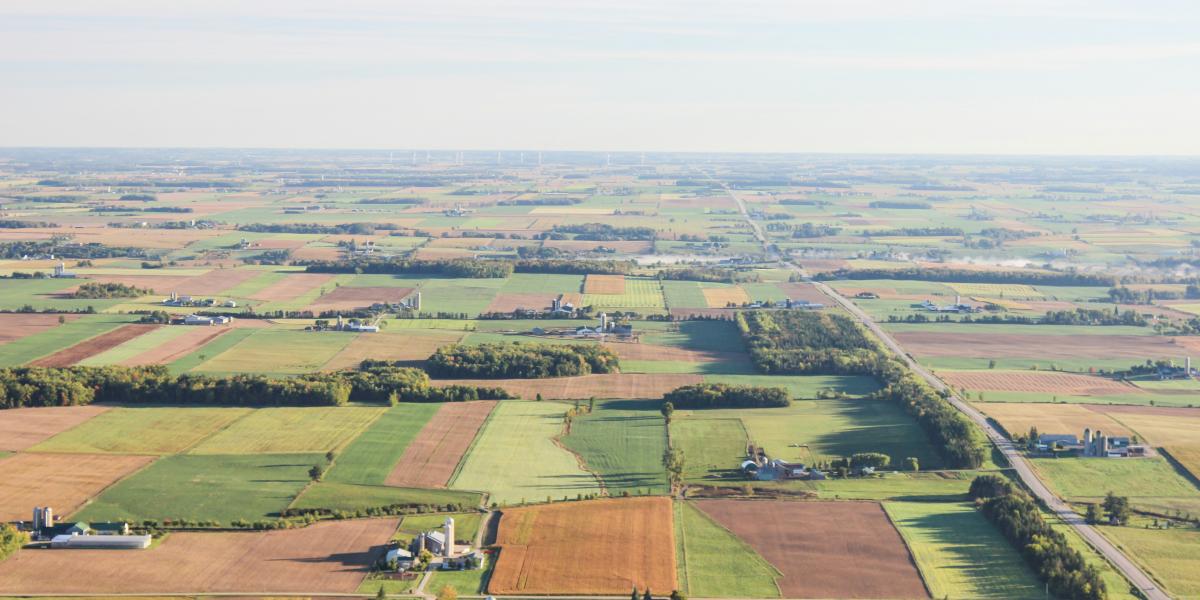 farmland from above