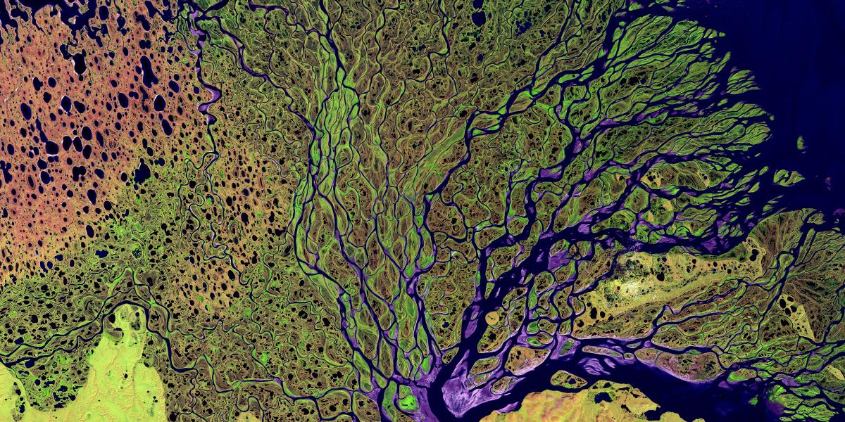 a satellite image of a river delta