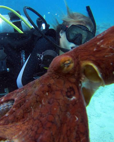 lennon thomas scuba diving next to an octopus