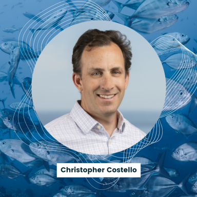 headshot of chris costello with a fish background