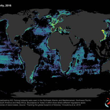 map of fishing activity from Global Fishing Watch
