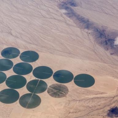 irrigated fields in the Mojave desert 