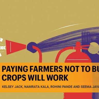 Opinion made by the authors: "Paying farmers not to burn crops will work" 