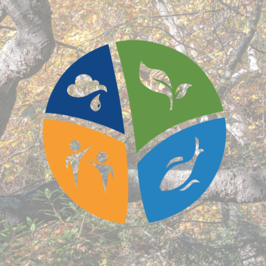 emlab logo over fall tree