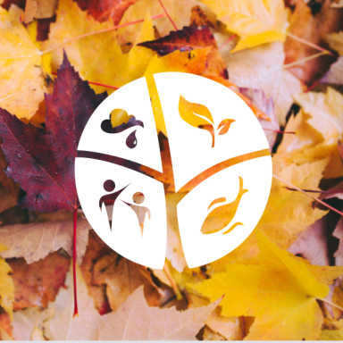 emlab logo over fall leaves