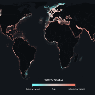 A map of fishing activity around the world, showing tracked and untracked vessels