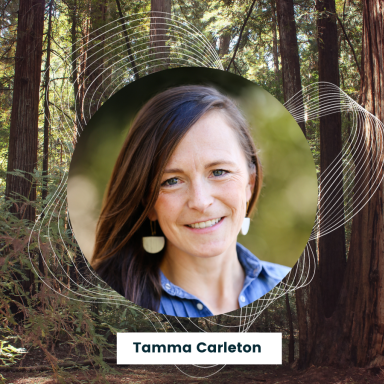 tamma carleton headshot over a forest image