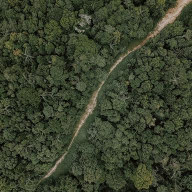 Aerial view of Indonesian forest
