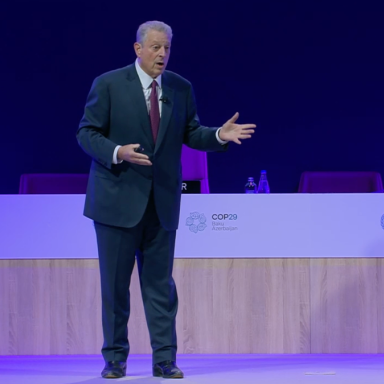 al gore at cop29
