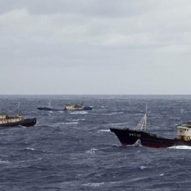 commercial fishing vessels