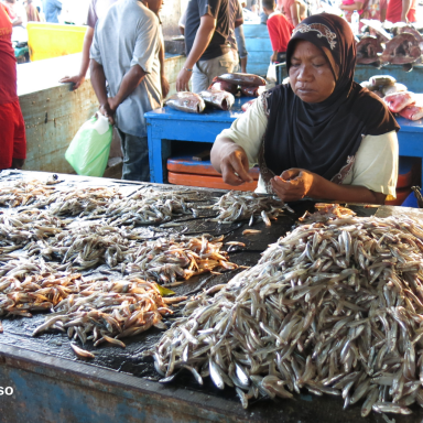 fish market seller with mounds of fish in front of her