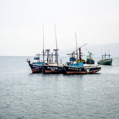 fishing boats in peru