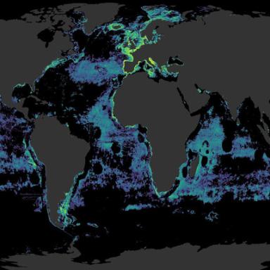 Map of active fishing vessels 