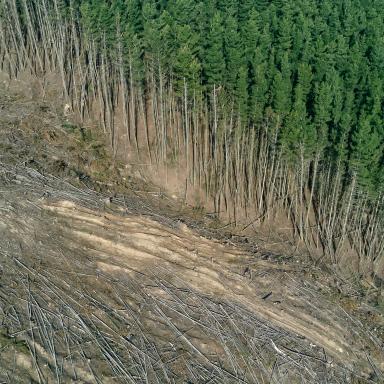 aerial of forest with half cut down