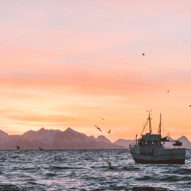 fishing boat at sunset with birds flying around it and mountains in the background