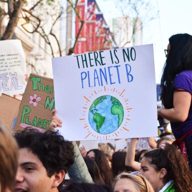 a protest sign that reads "there is no planet B"