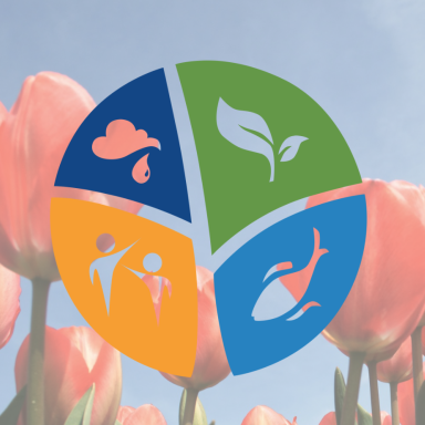 emlab logo over tulips