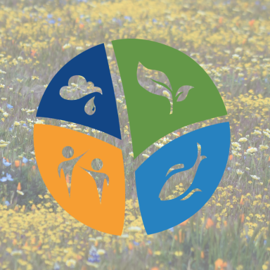 emlab logo over wildflowers