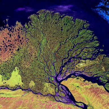 a satellite image of a river delta