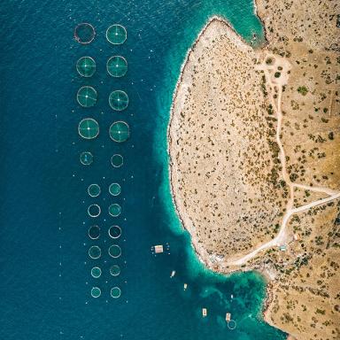 aerial of aquaculture farm near coastline