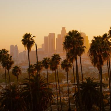 a view of the Los Angeles skyline with palm trees in the foreground