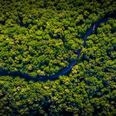 aerial of amazon forest and river