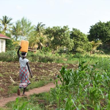 girl carrying bucket of water through farm