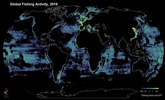 global map of fishing activity
