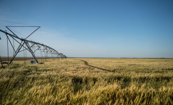 irrigation system on field